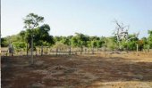 Navy accused of land-grabbing in Mullivaikkal
