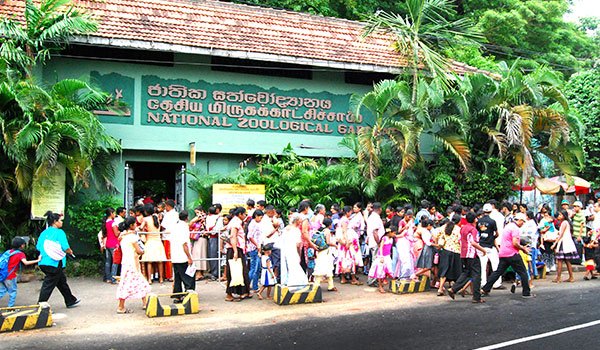 Business bigwigs in bid to shut zoo