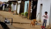 A file image of housing for workers on a tea estate in Sri Lanka. Tea is one of the country&#039;s major sources of wealth but tea workers suffer from both low income and inadequate housing. (Photo by ucanews.com)