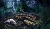 Snake ancestor had ankles and toes