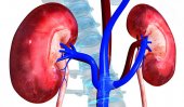 10 pc deducted from soldiers’ salary for kidney fund