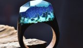 Worlds encapsulated within wooden rings